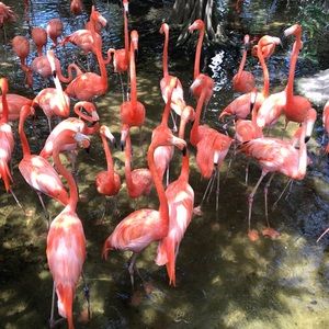 Meet your Posher, Maribel